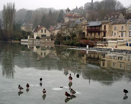 10 Patinoire à canards