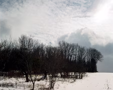 04 Chablis - Paysages