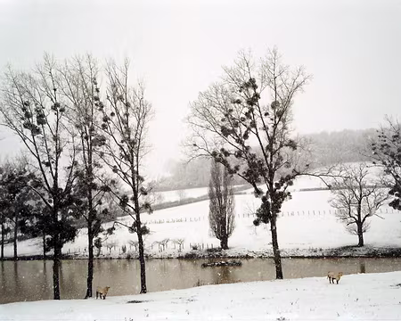 09 Paysage : oui, c'est bien la Bourgogne !