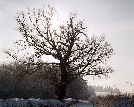 11 Enfin le soleil !