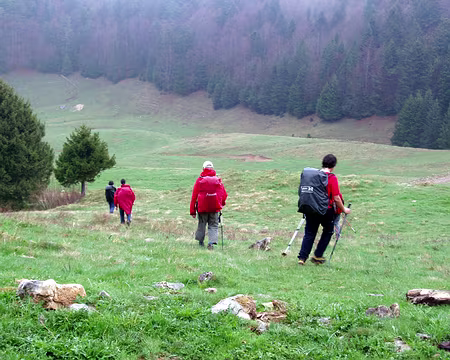 11 Lâcher de OUFS!!