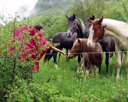 14 Rencontre avec des animaux sauvages