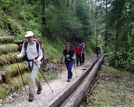 38 Les oufs, un gang?