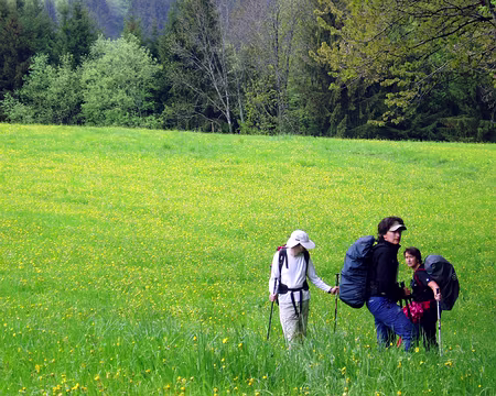 61 C'est l'IGN, y dit qu'il y avait un sentier là, vous l'avez pas connu?