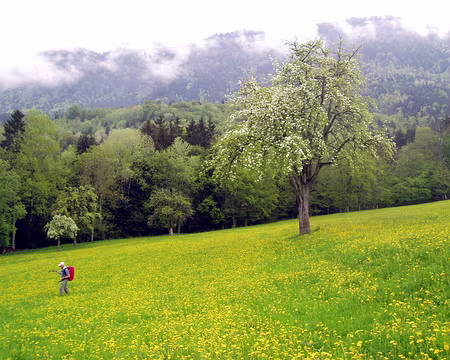 65 La valise RTL s'échappe!