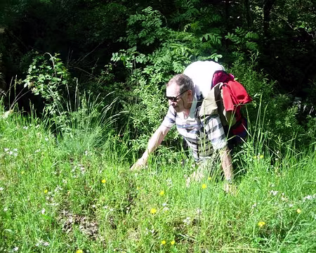 15 J'vous l'avais dit! Tu viens JP on continue!