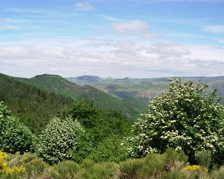 16 Et voilà, la ligne de crête vers le signal du Bouges!