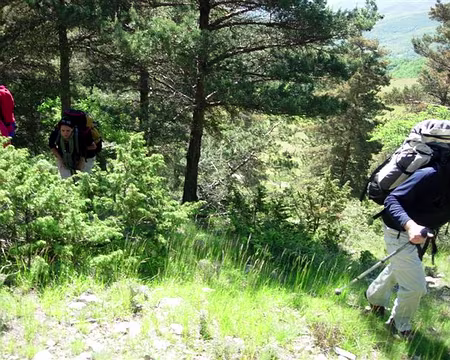 27 Y'a une sente juste après le barbelé,...