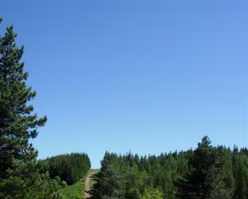 38 Pas tout à fait...