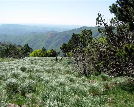 49 Ben où sont passés les OUFs?