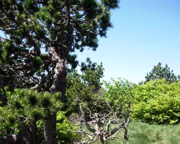 52 C'est du sérieux!