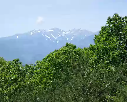 05 le Canigou