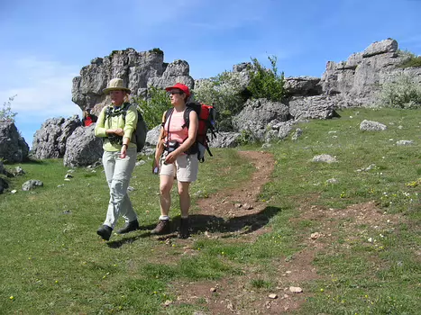 06-05 Terre des Cevennes