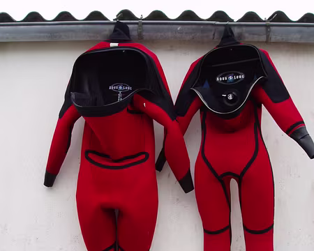 36 Et Claude de nous suspendre si nous ne sommes pas sages ...