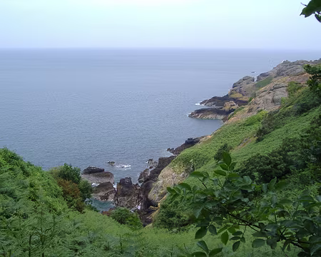 jersey 005 Chemin côtier