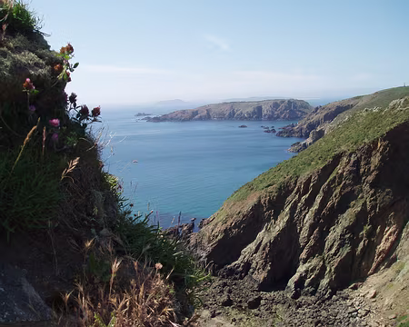 jersey 025 Envie de revenir