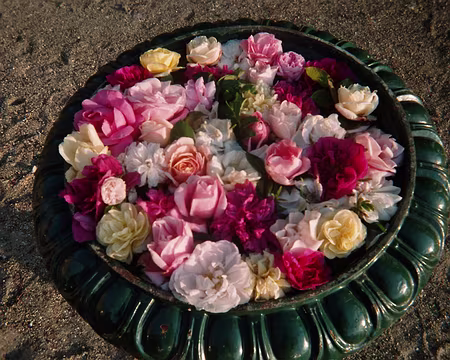 04 Découverte de senteurs (château EU)