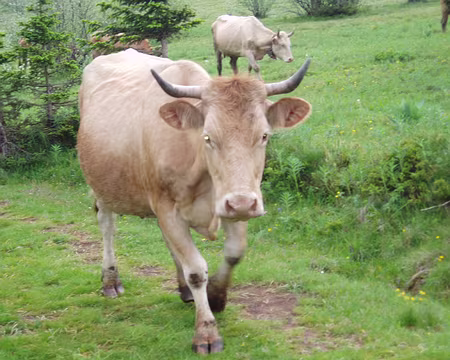 04 Elle vient saluer un copain dans le groupe.
