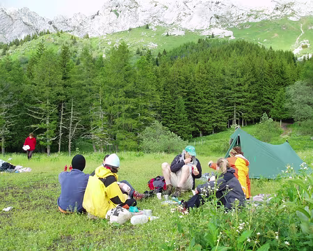 15z466 Dîner tiré du sac.