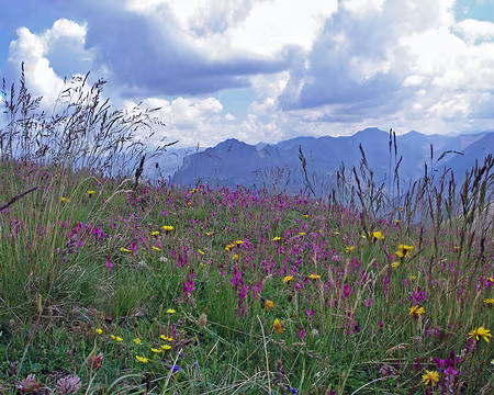 017 Une heure avant l'orage