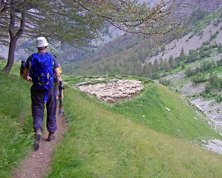 036 Descente vers la cabane de la Cayolle 2202