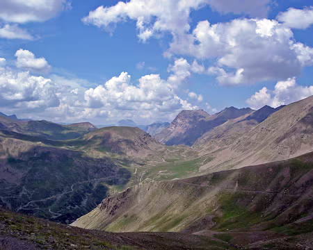 041 Ca moutonne déjà
