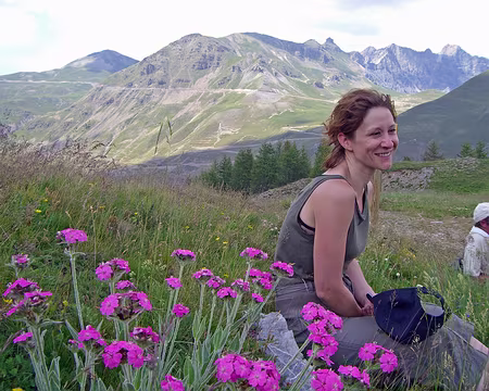 050 Belles plantes vers la Cime de la Bonnette