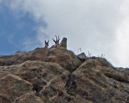 131 On est observé!