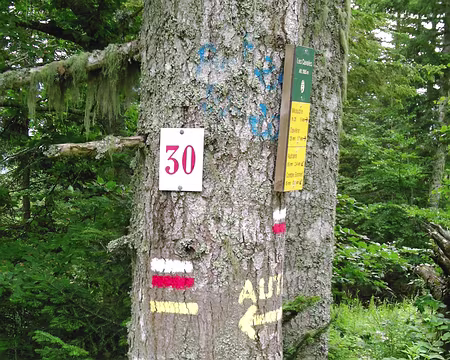 Autrans 12 Que de peinture !