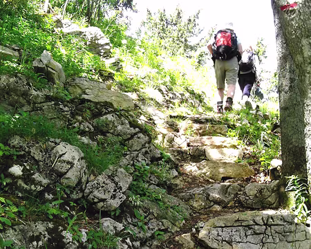 Autrans 17 Montée dans les « lapiaz »