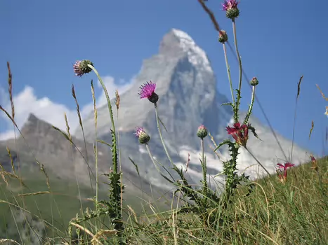 06-07 Zermatt