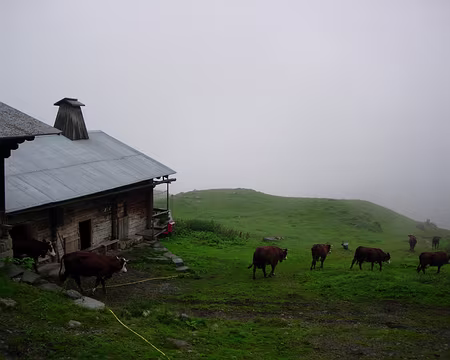 29 Ferme de la Vallée