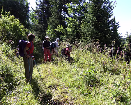 RV19 Observation de la nature