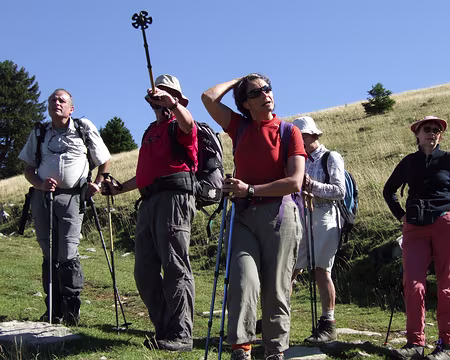 RV21z477 Observation de la nature