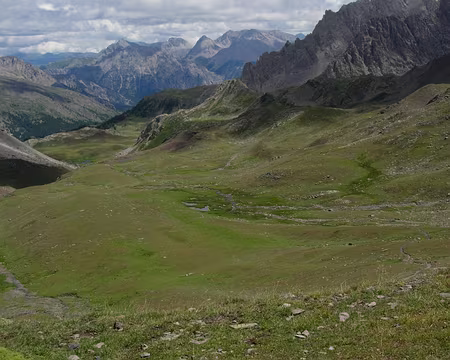 07 Testeur de matelats d'herbes