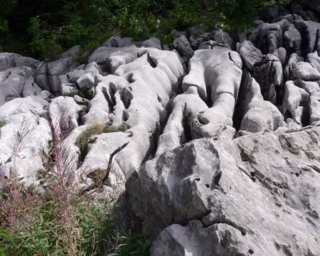 08 Premiers lappiazs