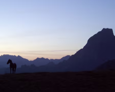 19d Mais au matin il va mieux