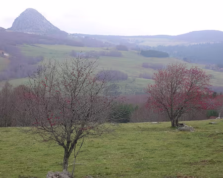 28 Vues sur Le Mont Gerbier de Jonc