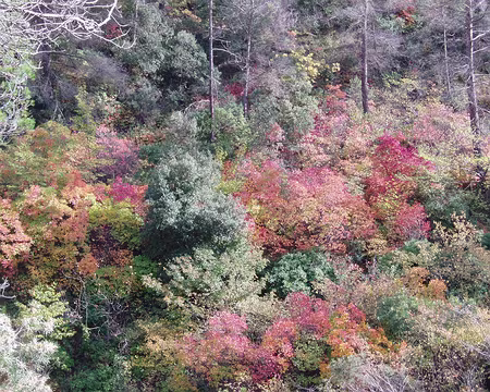 alpesmaritimes 126 Avec cette chaleur on en oublie parfois que c'est l'automne.