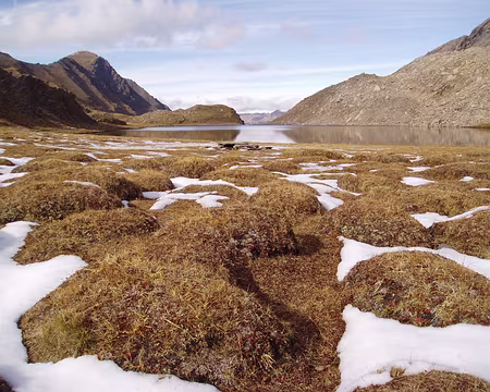 queyras06 059 Qui donc a suggéré, vu d'en haut, que le site était propice au camping ?