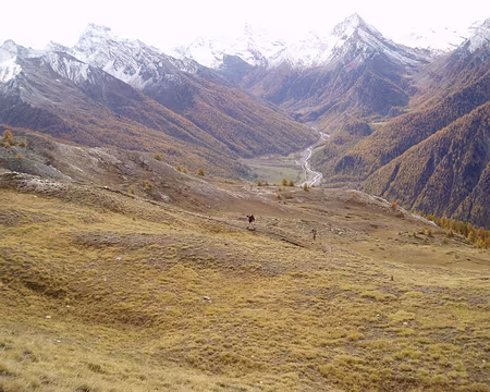 queyras06 169 Arrivée à la crête de Gilly.