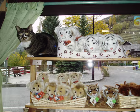 queyras06 224 Peluches à vendre.