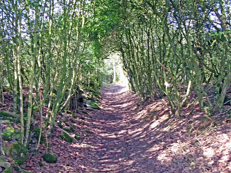 07-04 Bourgogne Ventre Bleu