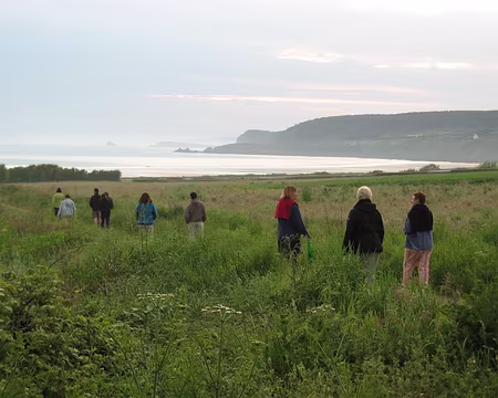 IMG_0215 Promenade du soir