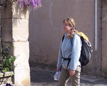 Photo 001 belles plantes