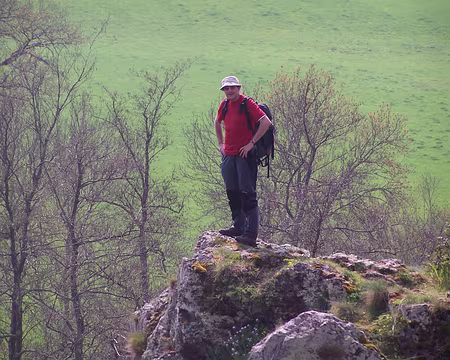 Photo 015 Seul sur un arbre perché