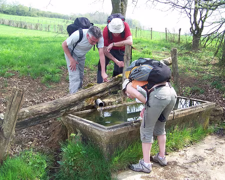 Photo 016 Ou sont les bébètes ?