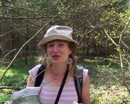 Photo 040 laquelle est la bonne ?