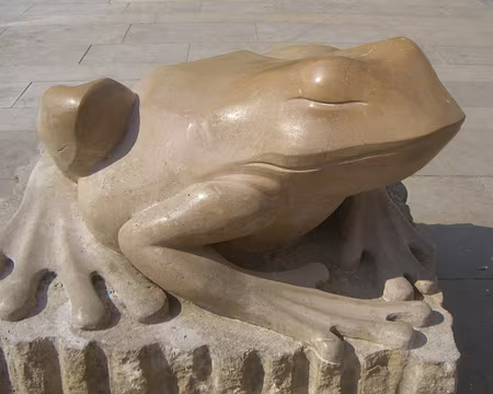 Photo 046 réincaranation ?