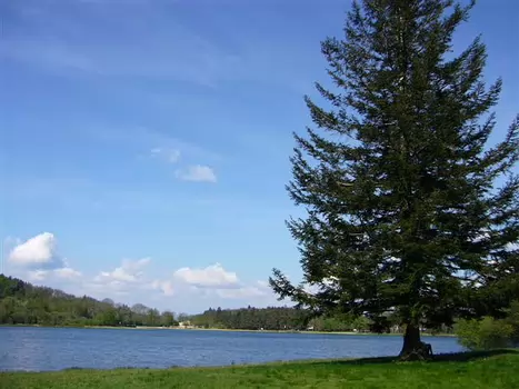 07-05 Montagne noire